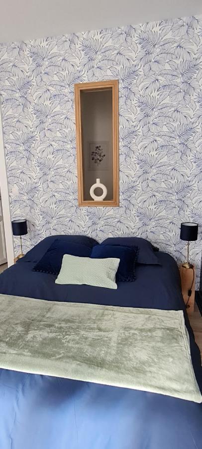 4 Personnes Aux Pieds Du Chateau De Avec Experience De Sous Les Aurores Boreales Appartement Blois