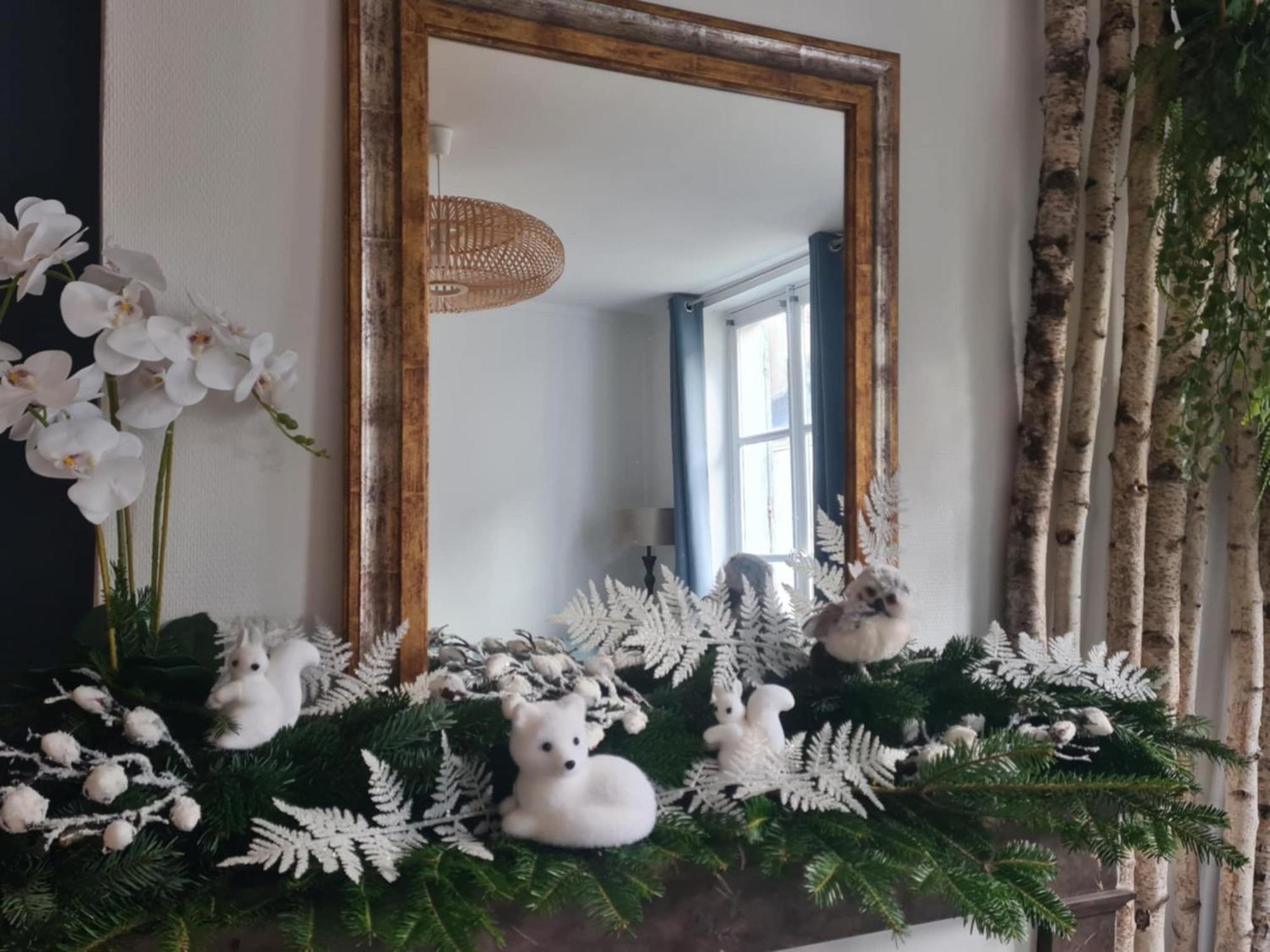 Appartement 4 Personnes Aux Pieds Du Chateau De Avec Experience De Sous Les Aurores Boreales Blois